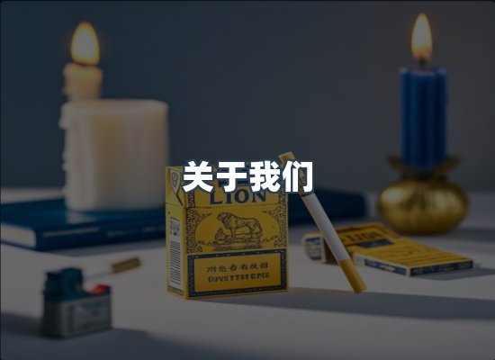 关于我们